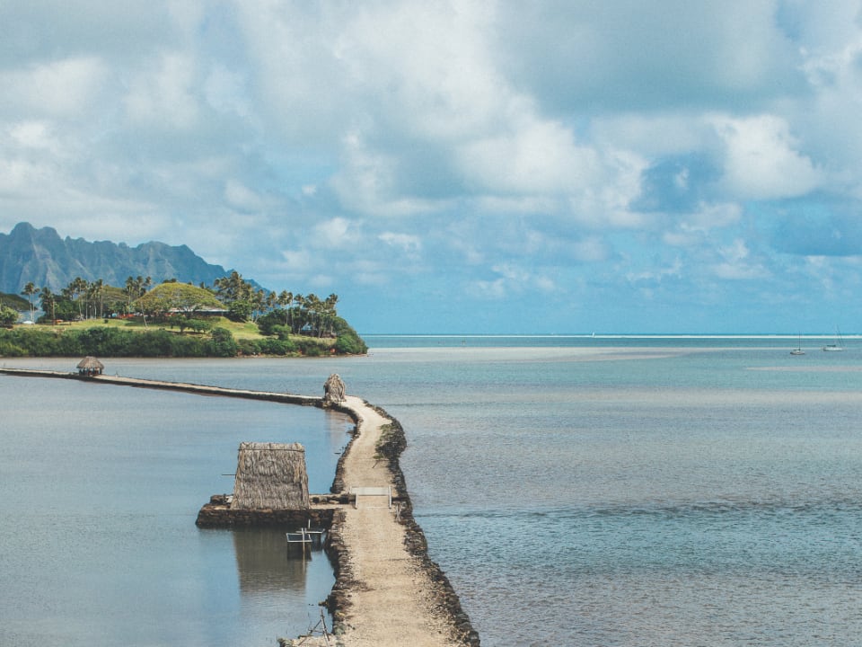 OluKai photography